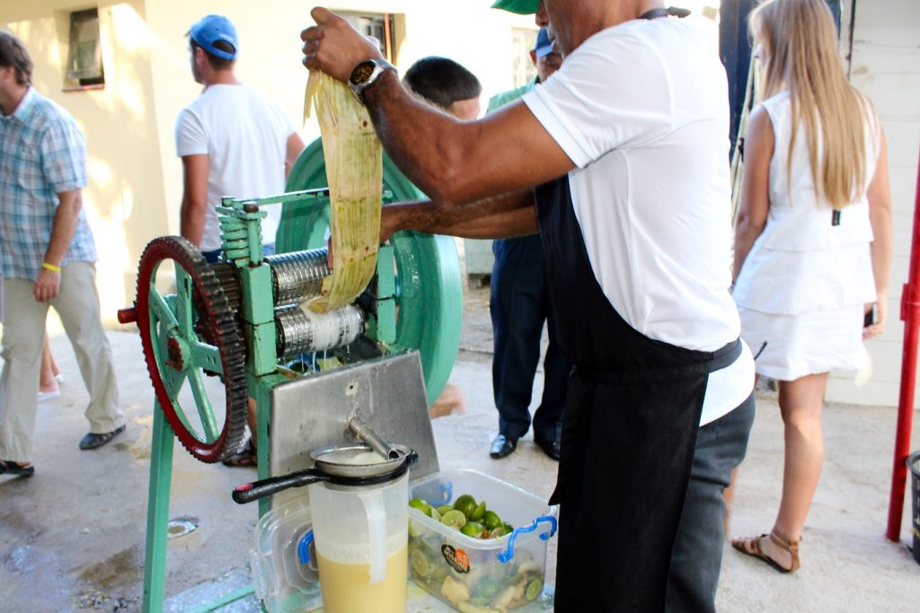 Sugarcane being squeezed for Cocktail Vigia at Finca Vigia in Cuba - Passports and Spice