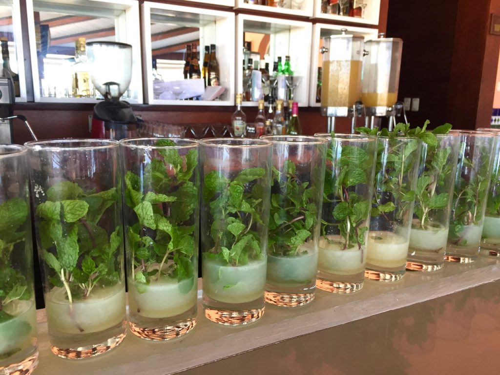 Mojito is Cuba's national drink and was one of favorite drinks of Ernest Hemingway in Cuba - Passports and Spice