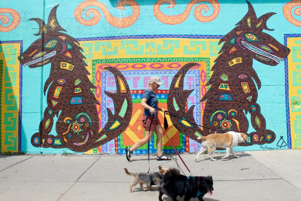 CoyWolf Mural isis one of awesome instagrammable walls in Chicago - Passports and Spice